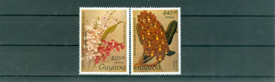 Gvajana 1987 flora serija express MNH** 12% Mi