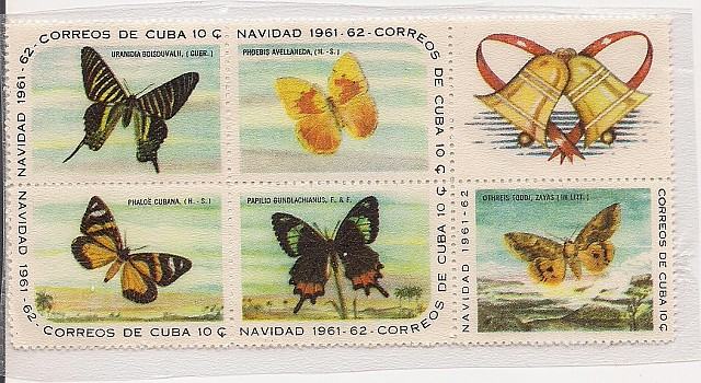 Kuba, favna, metulji