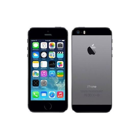 iPhone 5S space gray
