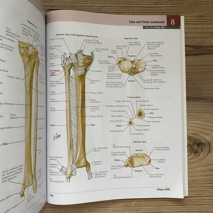 Anatomski atlas Frank Netter