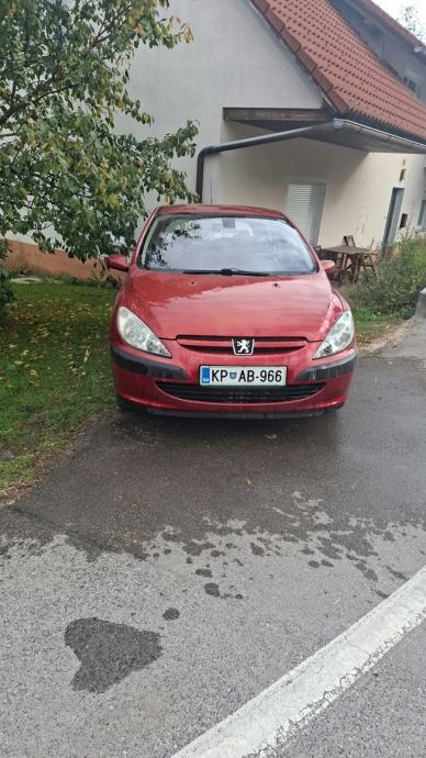 Peugeot 307