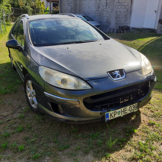 Peugeot 407 SW