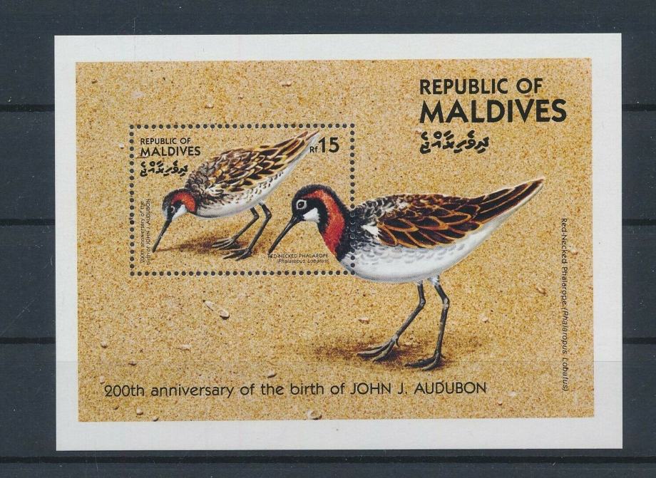 Maldivi 1985 ptice blok MNH**
