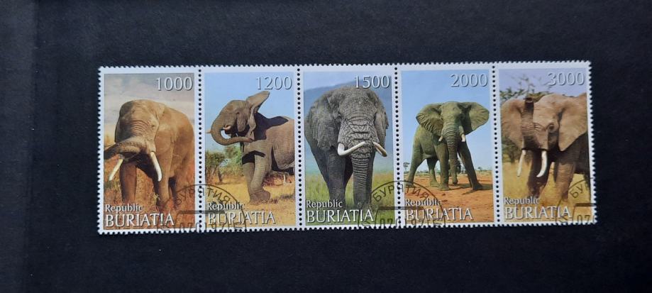 sloni - Buriatia - serija 5 znamk, žigosane (Rafl01)