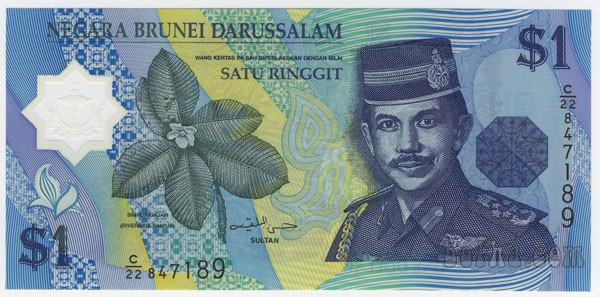 Bankovec, Brunei, 1 dolar, 1996, polimer, roža in slap