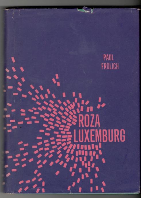 Paul Frolich, ROZA LUXEMBURG