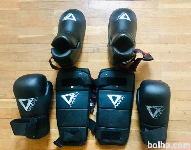 Kickbox / Taekwondo set oprema - rokavice, ščitniki