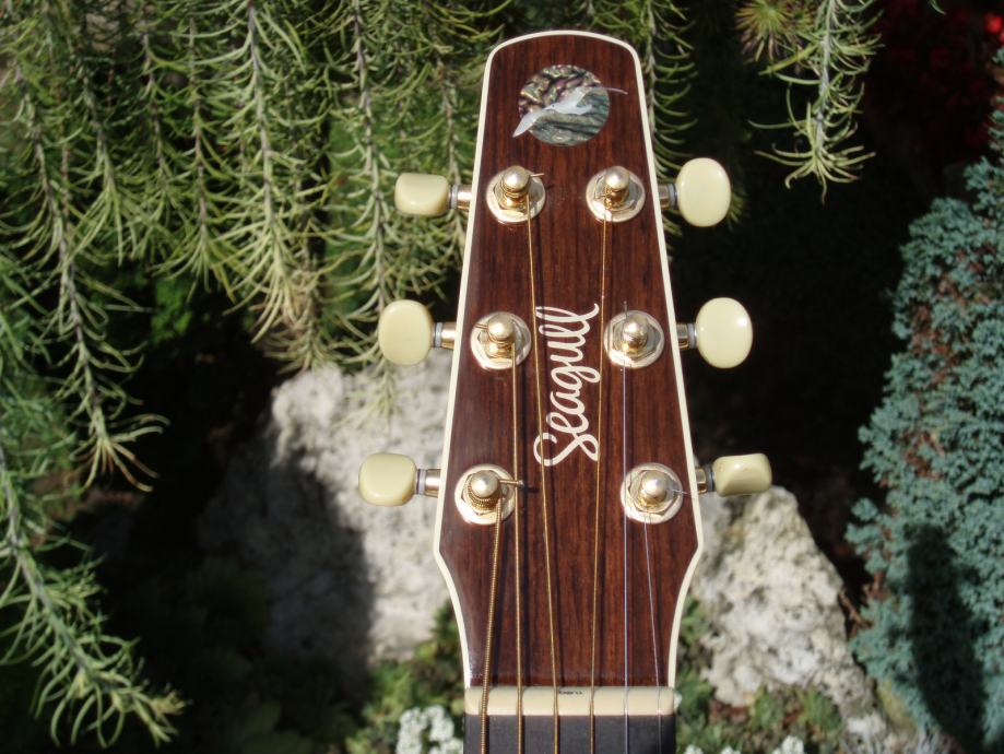 Elektro-akustična gitara SEAGULL Mosaic Element