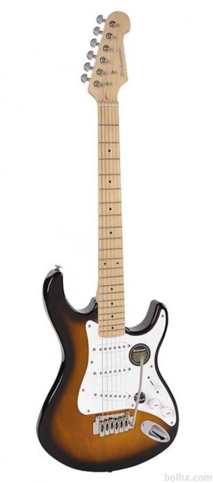 RICHWOOD MASTER 320-2SB Električna kitara električne kitare