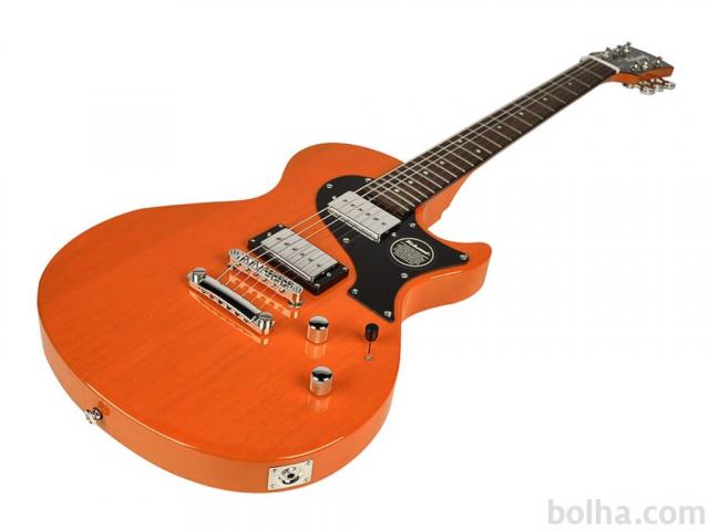 RICHWOOD MASTER REG-430T Električna kitara električne kitare