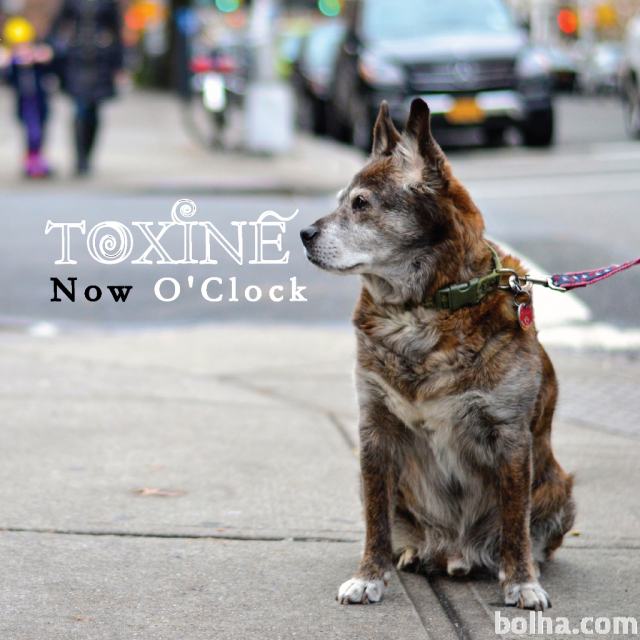 Toxine - Now O'Clock