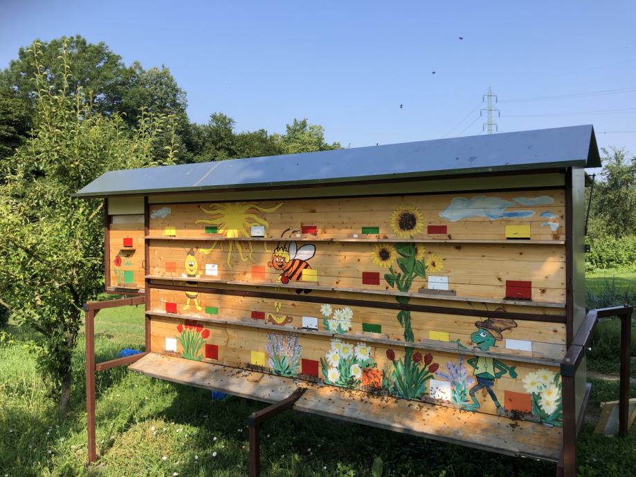 Prevozni čebelnjak s 15 čebeljimi družinami