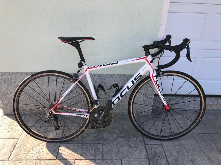 focus cayo evo ultegra