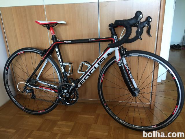 focus cayo evo 2.0
