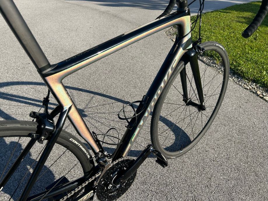 tarmac sl6 peter sagan