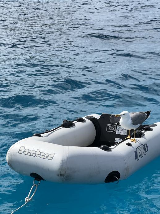 Napihljiv čoln Bombard AX1