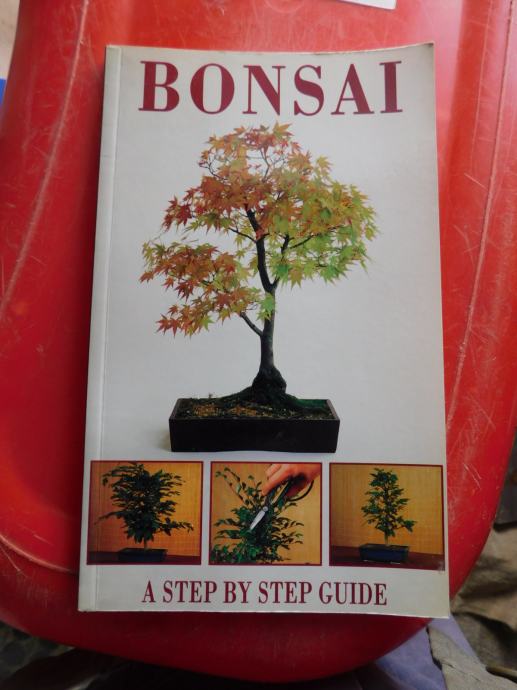 Bonsai (O)