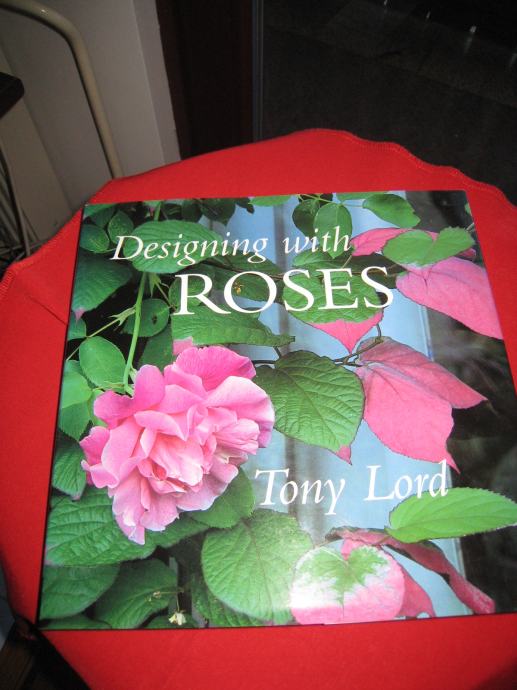 DESIGNING WITH ROSES