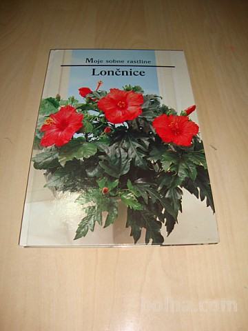Moje sobne rastline LONČNICE Mk 1989