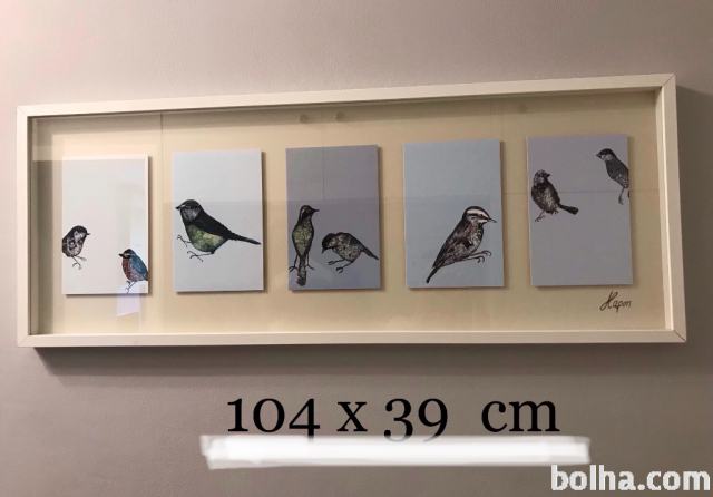 Slike ptic v okvirju, 3D slika, leseni okvir s steklom