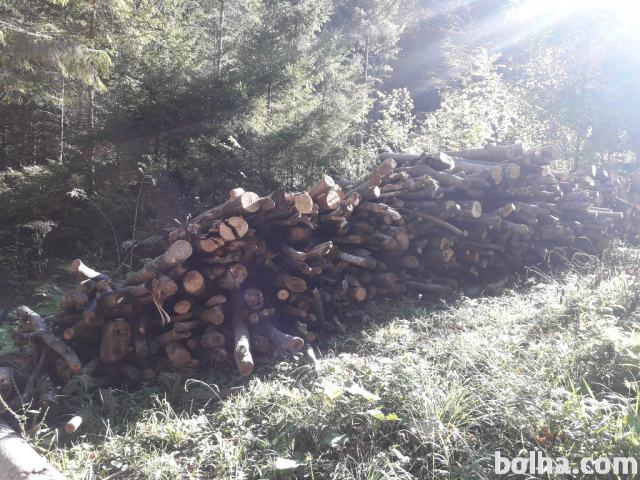 Bukova drva