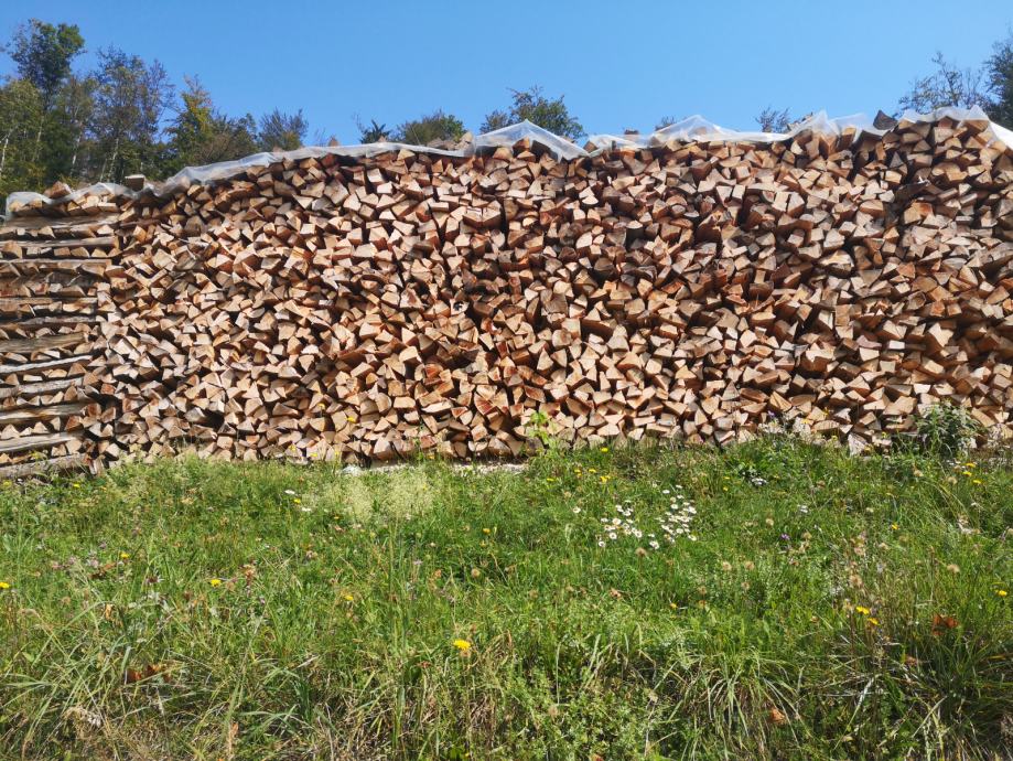 Suha ali sveža bukova drva  (tudi mešana drva) od 49 do 57 EUR