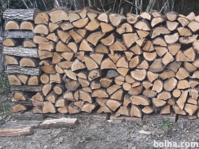 Hrast hrastova gaber gabrova drva Črnomelj 55e/meter