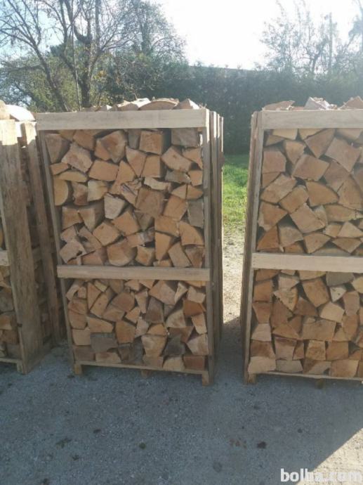 prodaja bukovih drv na paletah iz slovenskih gozdov