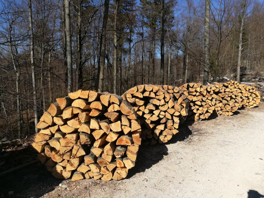 Prodam bukova drva