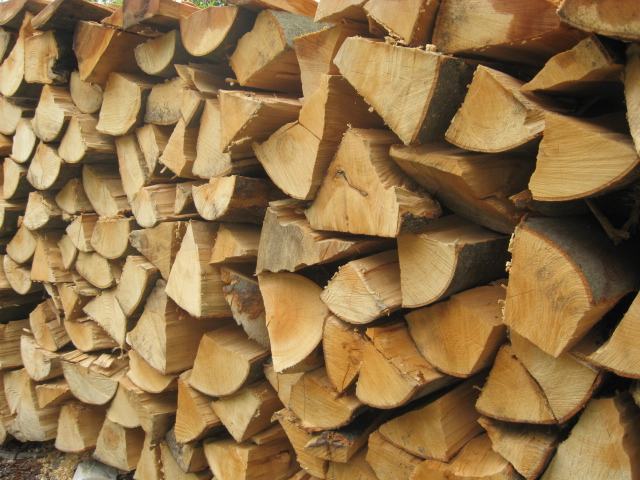 prodam bukova drva