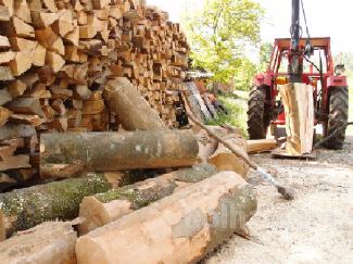 Suha bukova drva, razrez po meri, dostava 2-3 prm, Ljubljana