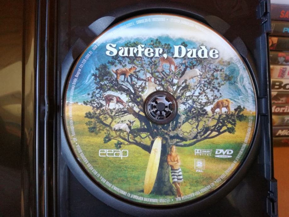 Surfer, Dude (2008) Matthew McConaughey