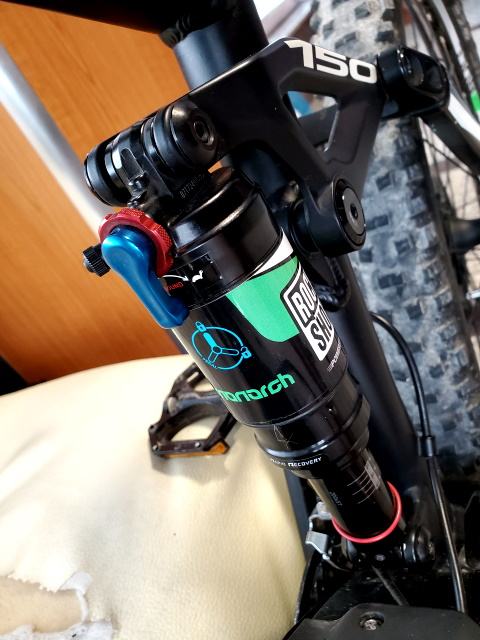 bulls estream evo 45 fs