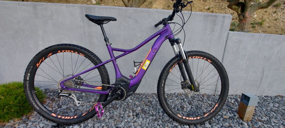 specialized levo 2019 ht