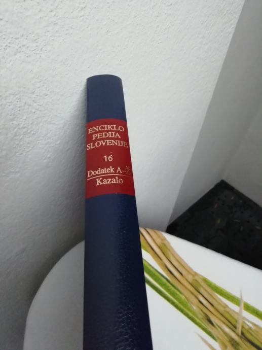 Enciklopedija Slovenije