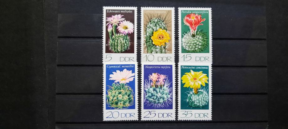 cvetovi kaktusov - DDR 1974 - Mi 1922/1927 - serija, čiste (Rafl01)