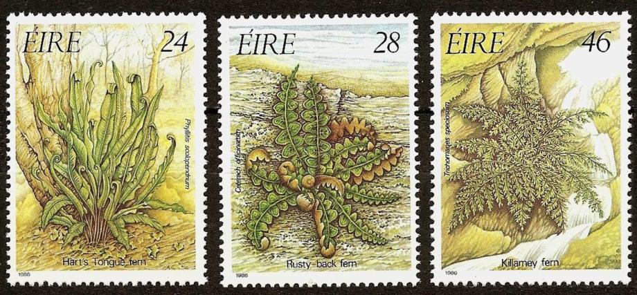 Irska 1986 ☀ Flora