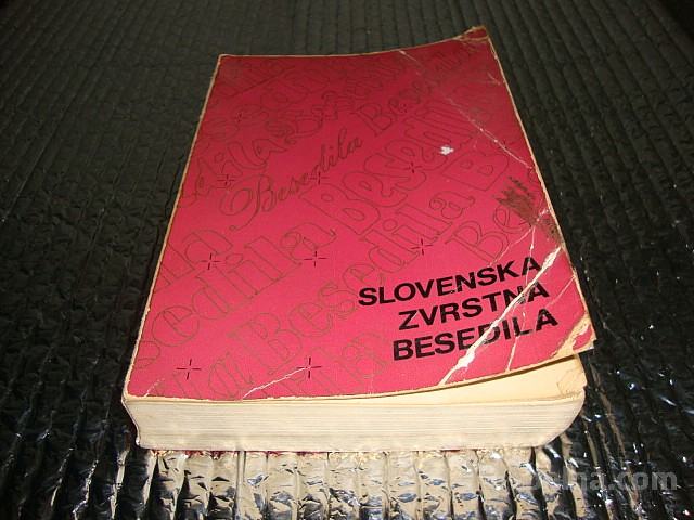 Slovenska zvrstna besedila 1981