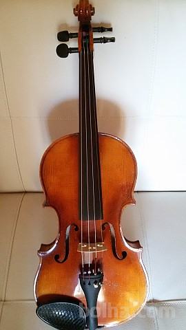 Stara violina celinka