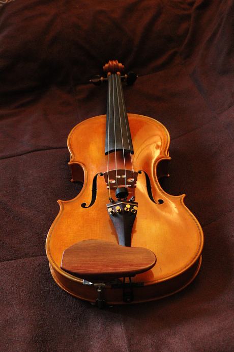 Violina - celinka - Demšar