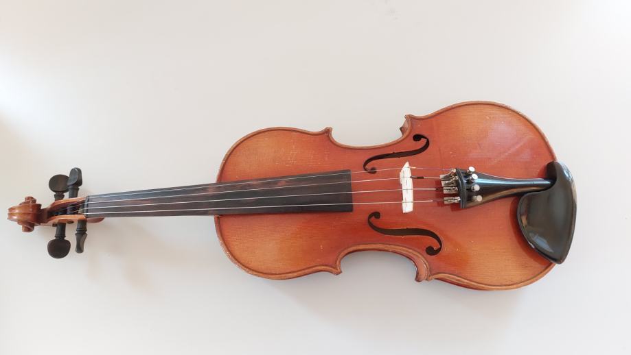 Violina celinka