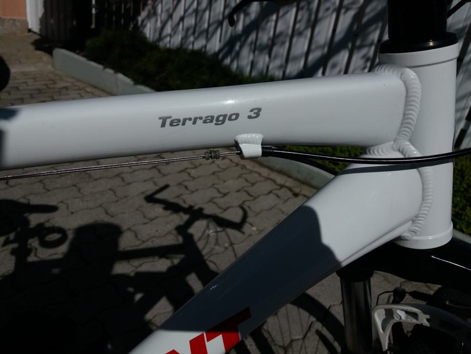 giant terrago 29 2018