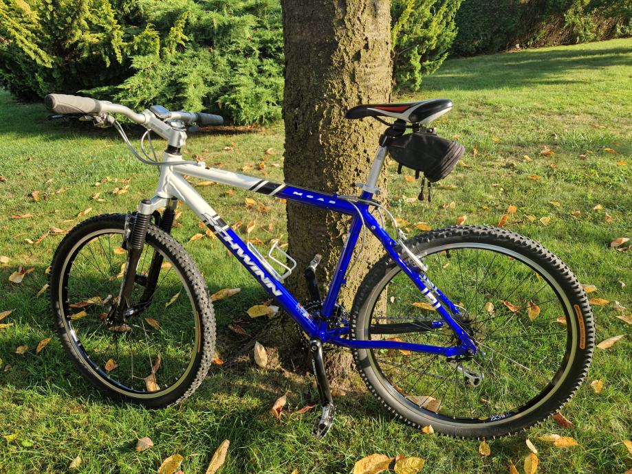 Gorsko kolo SCHWINN MOAB 3