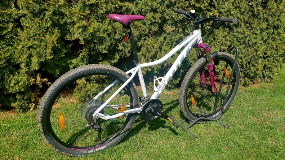 contessa 720 scott 2019