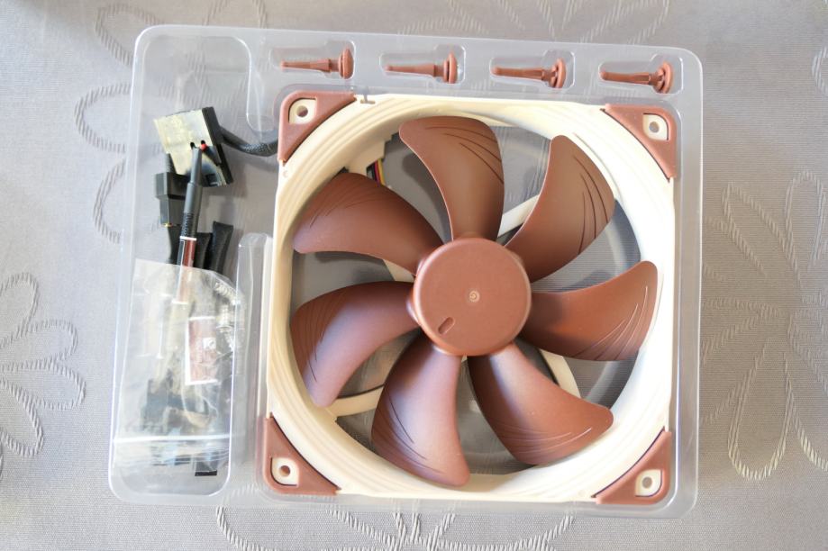 Noctua
