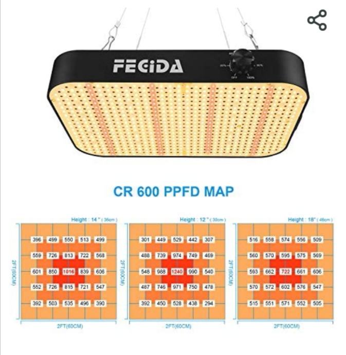 Fecida LED grow light 600w