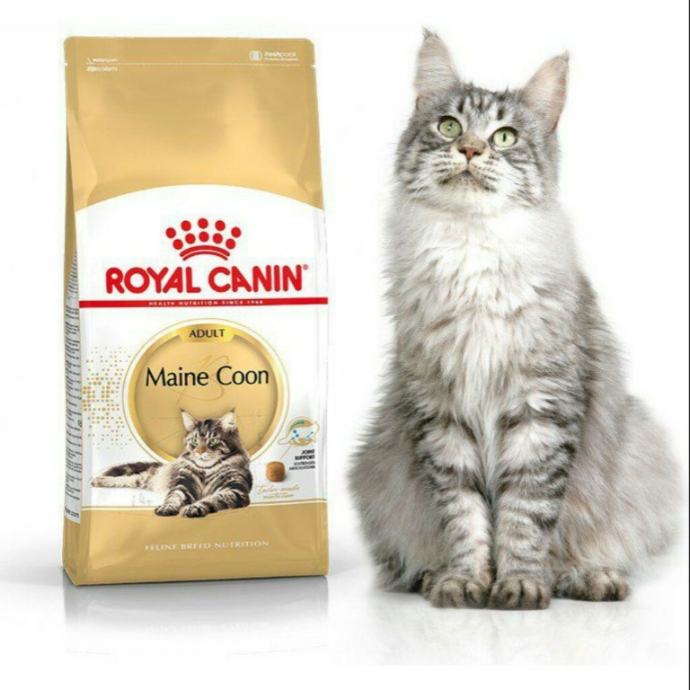 Suha hrana za velike mačke, Royal Canin Maine Coon Adult, 10 kg