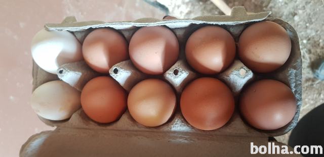 Domača jajca