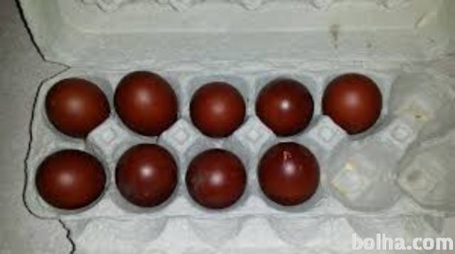 valilna jajca marans