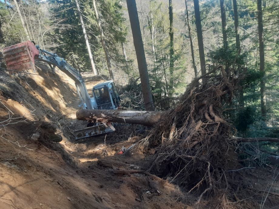 Posek, spravilo, odkup lesa in popravilo gozdnih cest
